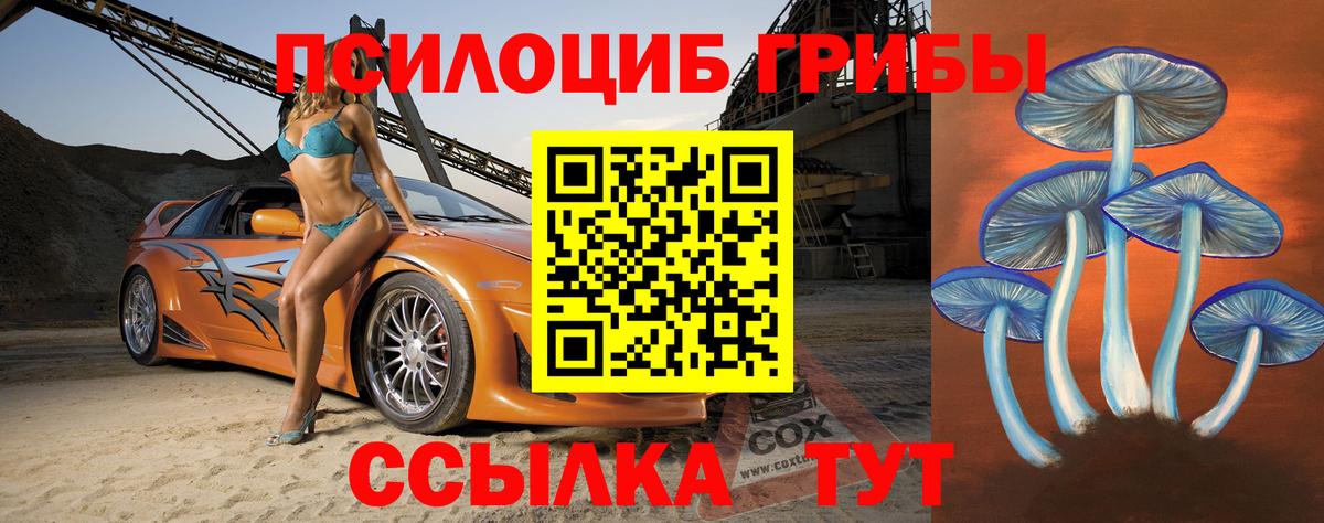 как найти   Галлюциногенные грибы Cubensis  Вход с VPN  Елизово 