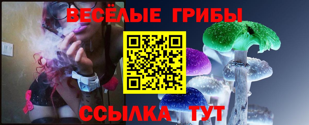 Псилоцибиновые грибы Cubensis Елизово